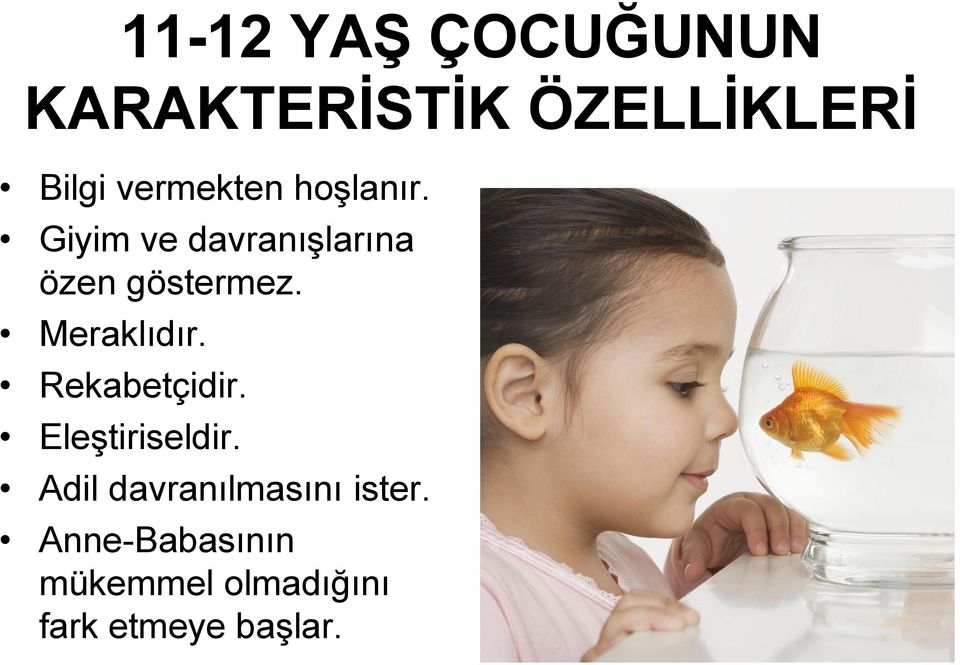 Meraklıdır. Rekabetçidir. Eleştiriseldir.