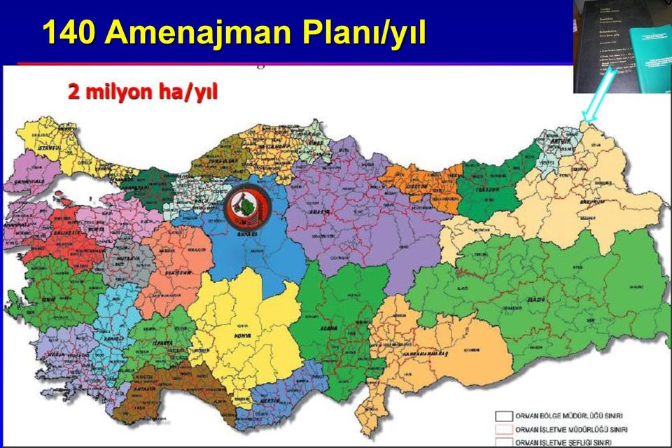 Planı/yıl