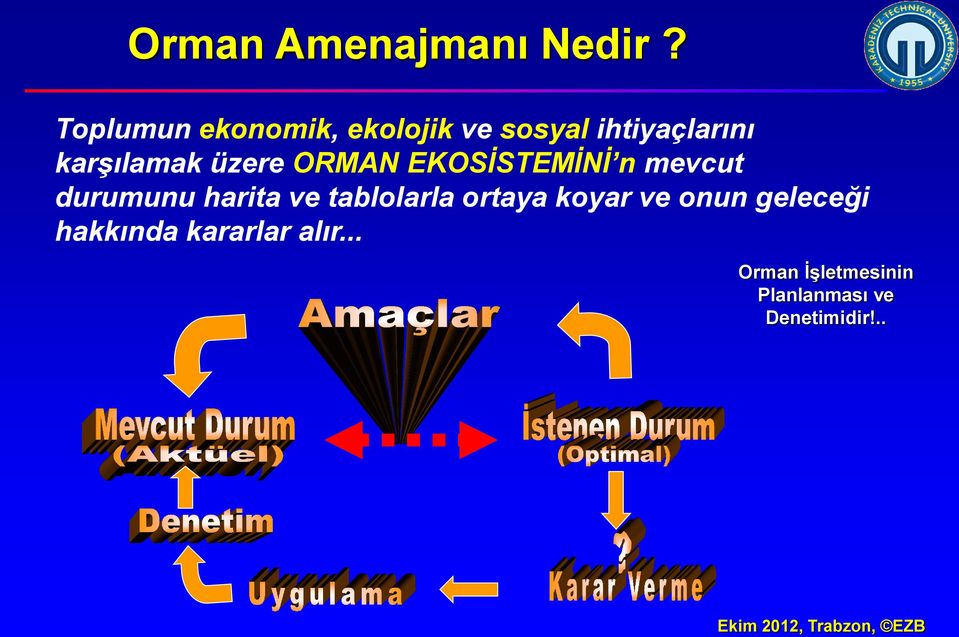 üzere ORMAN EKOSİSTEMİNİ n mevcut durumunu harita ve tablolarla