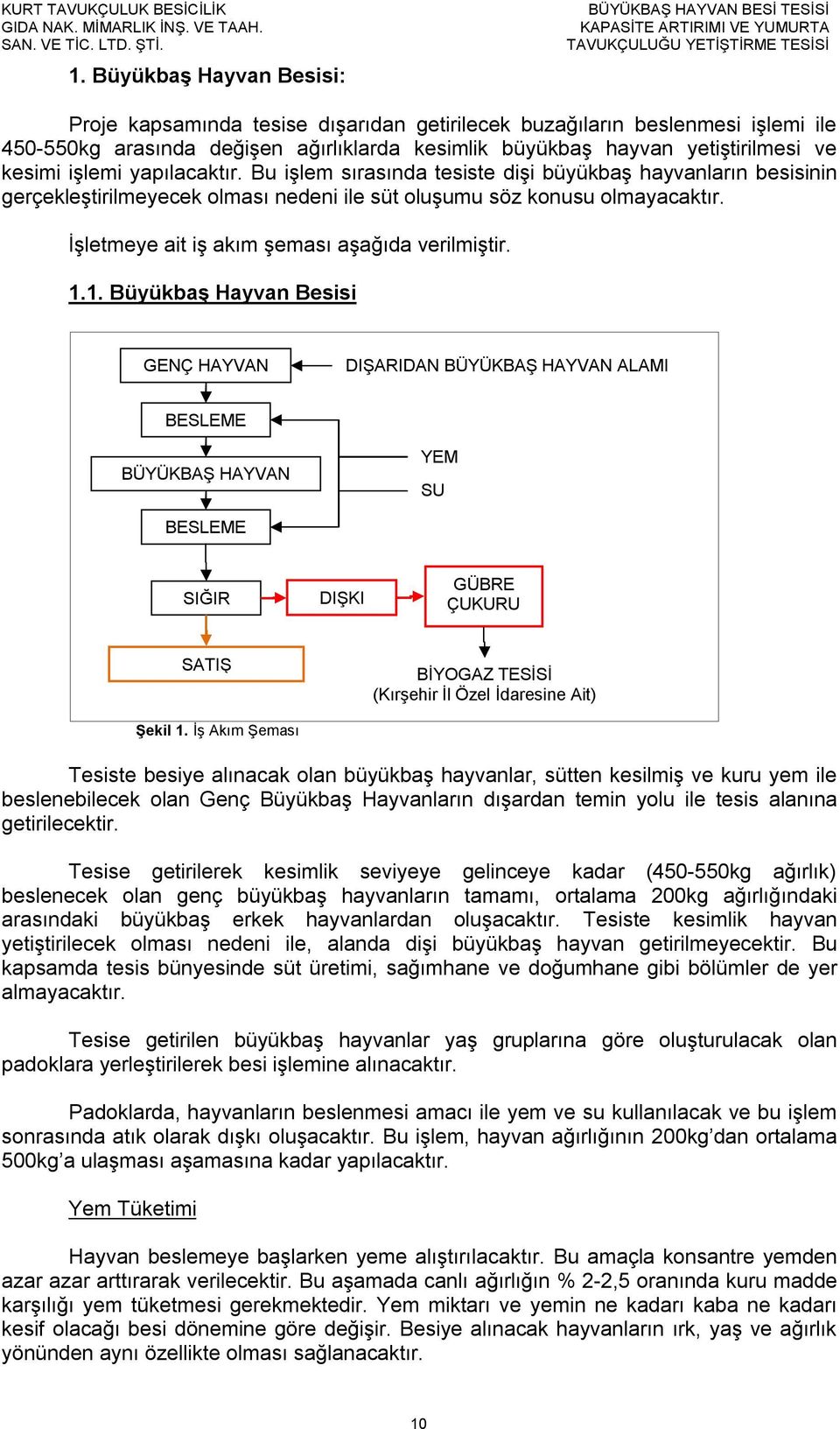 İşletmeye ait iş akım şeması aşağıda verilmiştir. 1.1. Büyükbaş Hayvan Besisi GENÇ HAYVAN DIŞARIDAN BÜYÜKBAŞ HAYVAN ALAMI BESLEME BÜYÜKBAŞ HAYVAN YEM SU BESLEME SIĞIR DIŞKI GÜBRE ÇUKURU SATIŞ Şekil 1.