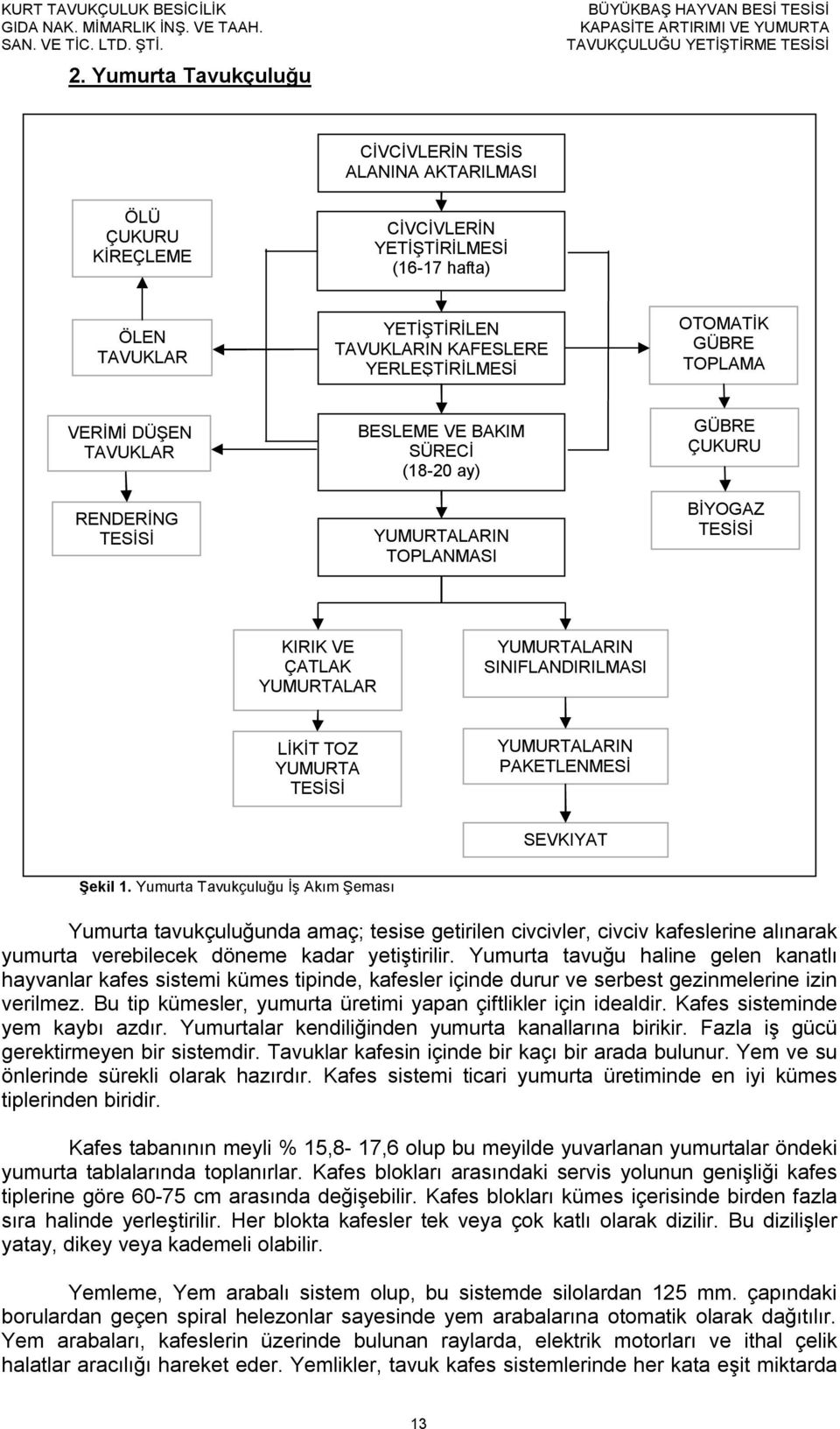 LİKİT TOZ YUMURTA TESİSİ YUMURTALARIN PAKETLENMESİ SEVKIYAT Şekil 1.