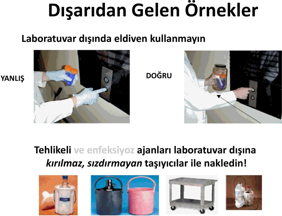 DOĞRU Ğ Tehlikeli ve enfeksiyoz ajanları