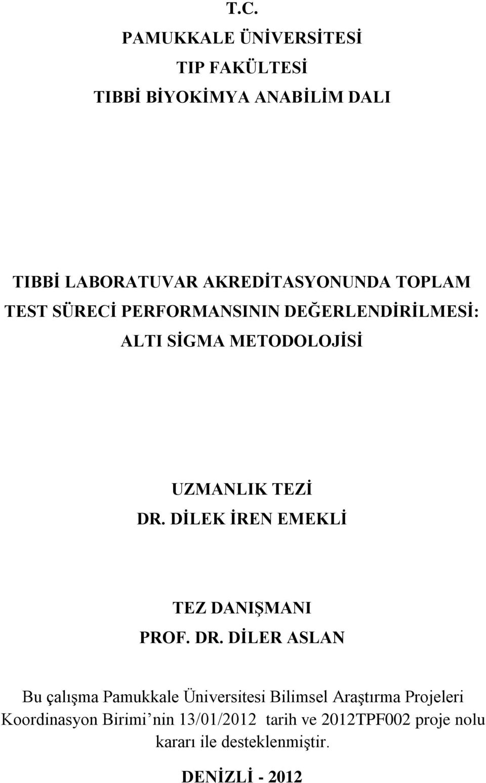 DİLEK İREN EMEKLİ TEZ DANIŞMANI PROF. DR.