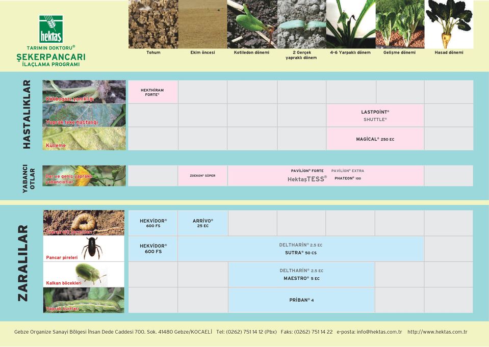 yabancıotlar Toprak altı zararlıları Pancar pireleri Kalkan böcekleri HEKVİDOR 600 FS HEKVİDOR 600 FS ZOEKON SÜPER ARRİVO 25 EC