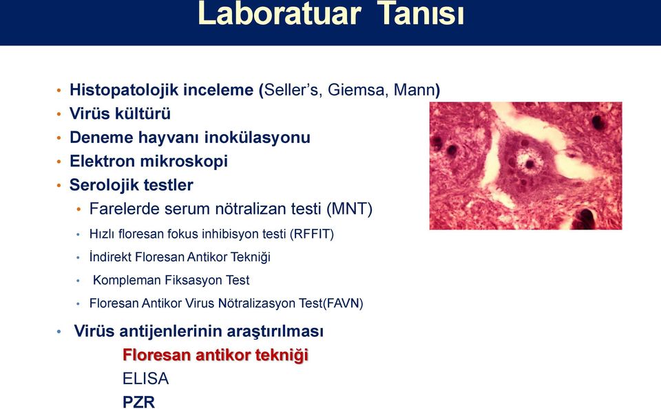 floresan fokus inhibisyon testi (RFFIT) İndirekt Floresan Antikor Tekniği Kompleman Fiksasyon Test