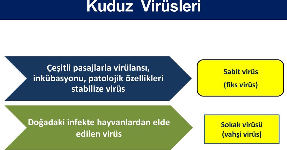 virüs Sabit virüs (fiks virüs) Doğadaki infekte