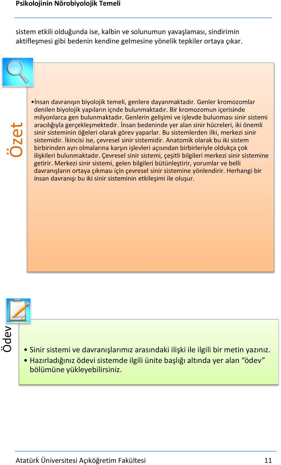 Genlerin gelişimi ve işlevde bulunması sinir sistemi aracılığıyla gerçekleşmektedir. İnsan bedeninde yer alan sinir hücreleri, iki önemli sinir sisteminin öğeleri olarak görev yaparlar.