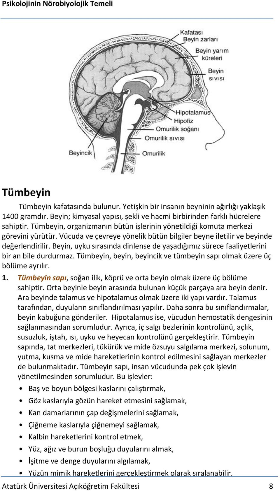 Beyin, uyku sırasında dinlense de yaşadığımız sürece faaliyetlerini bir an bile durdurmaz. Tümbeyin, beyin, beyincik ve tümbeyin sapı olmak üzere üç bölüme ayrılır. 1.