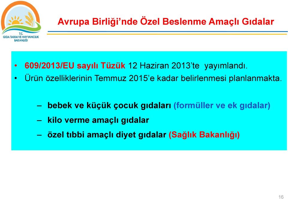 Ürün özelliklerinin Temmuz 2015 e kadar belirlenmesi planlanmakta.