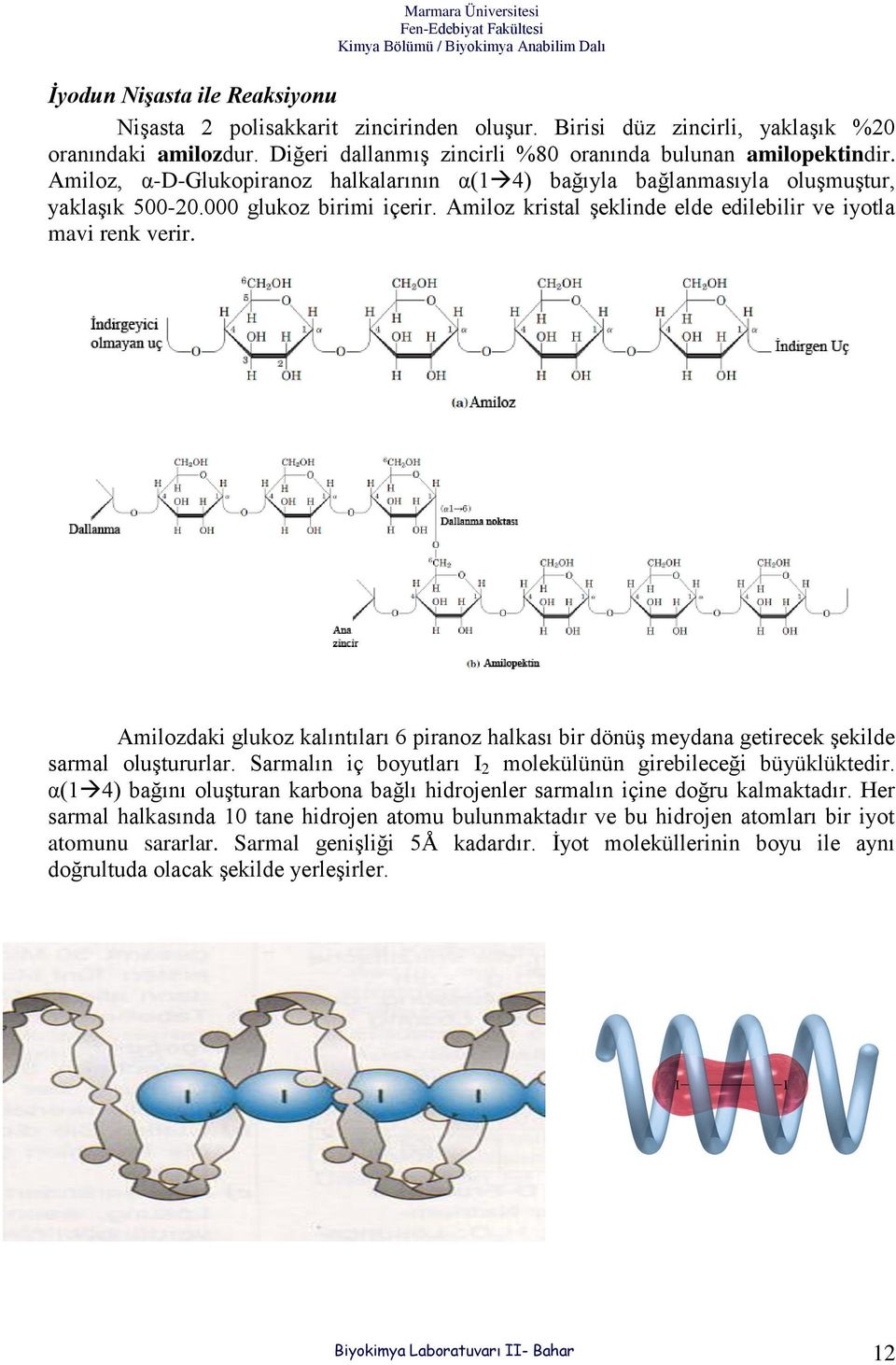 Amilozdaki glukoz kalıntıları 6 piranoz halkası bir dönüş meydana getirecek şekilde sarmal oluştururlar. Sarmalın iç boyutları I 2 molekülünün girebileceği büyüklüktedir.