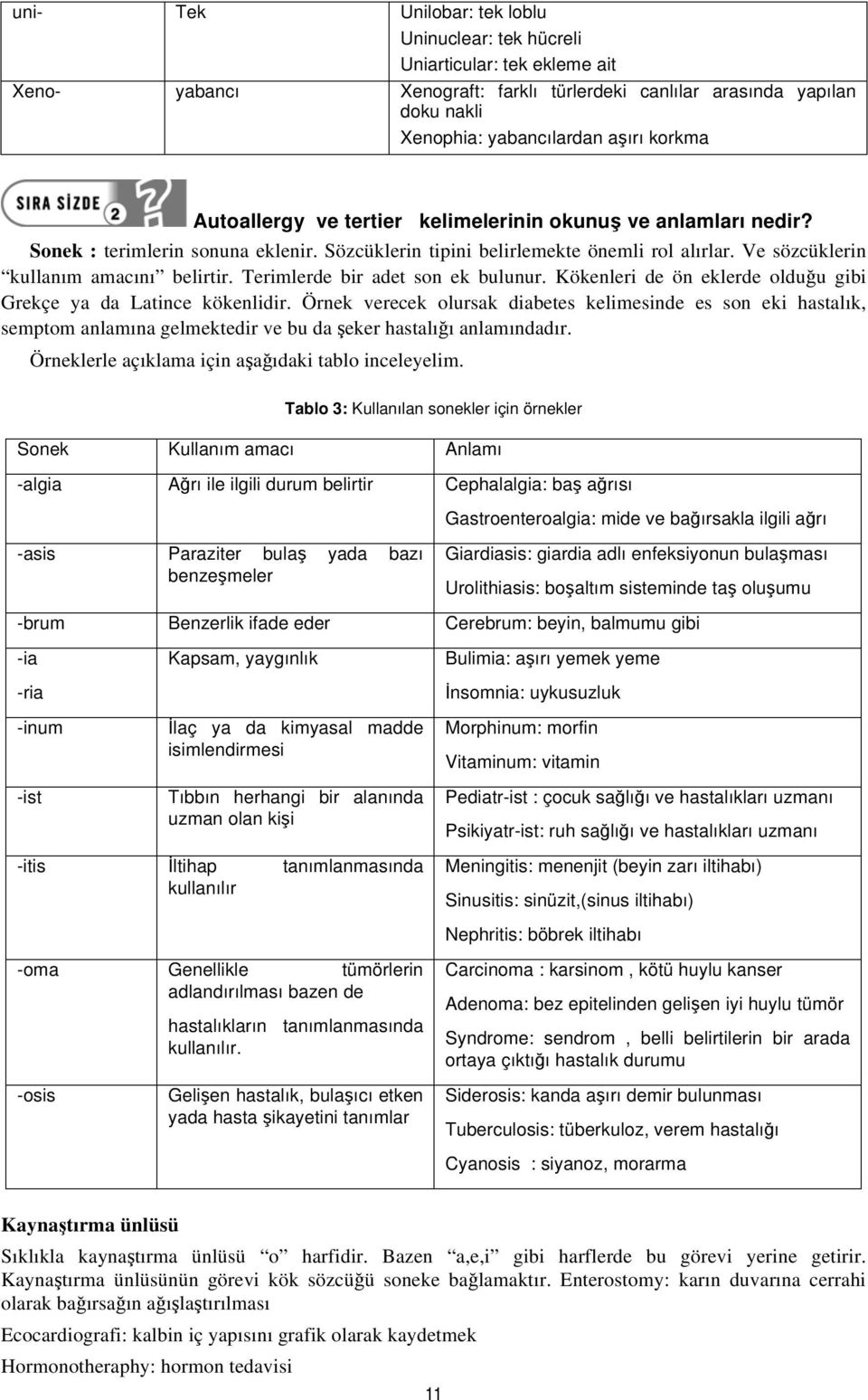 Terimlerde bir adet son ek bulunur. Kökenleri de ön eklerde olduğu gibi Grekçe ya da Latince kökenlidir.