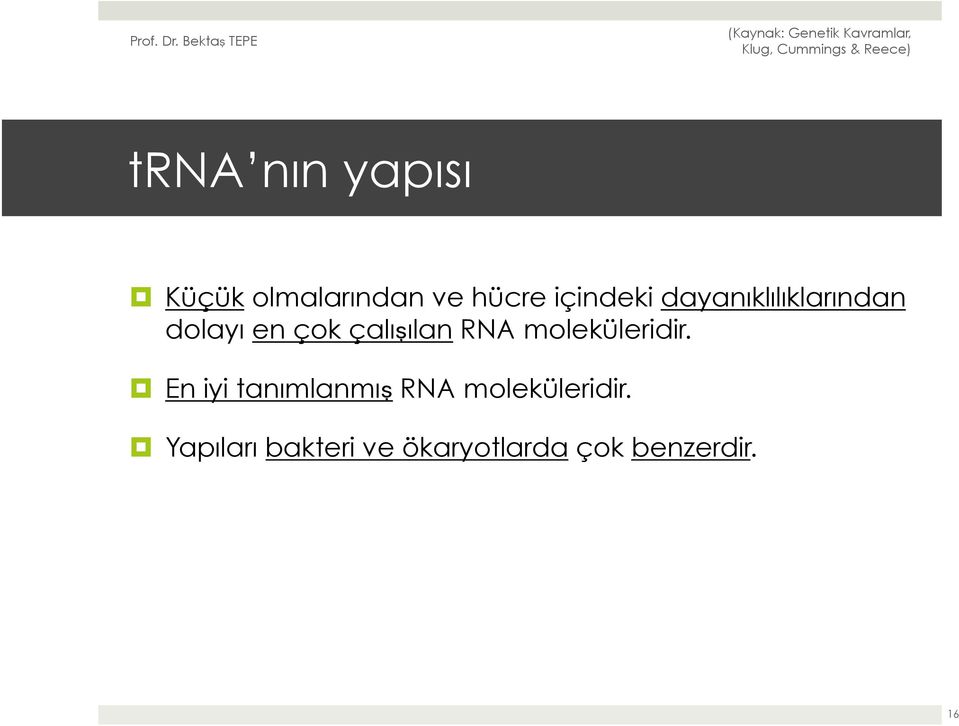 çalışılan RNA moleküleridir.