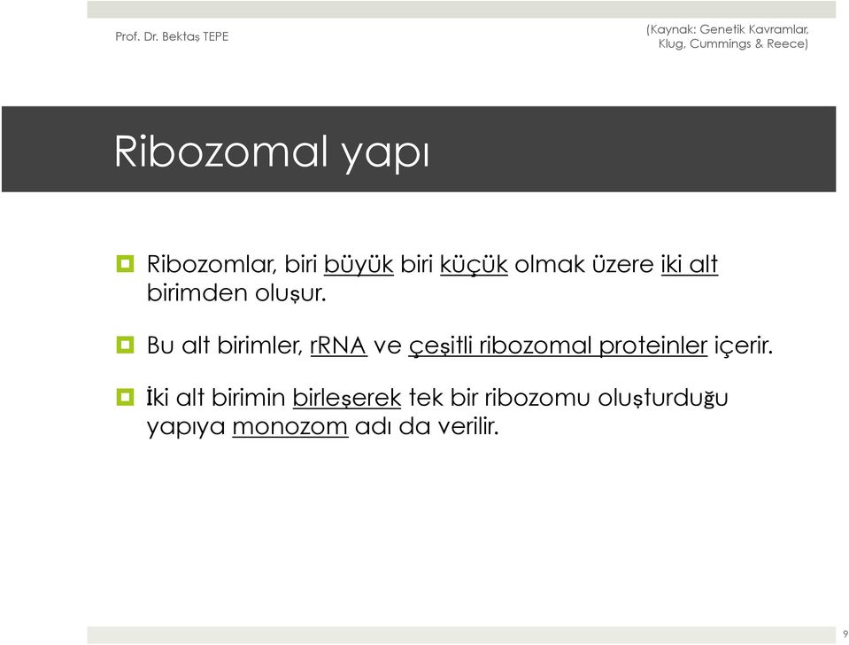 Bu alt birimler, rrna ve çeşitli ribozomal proteinler