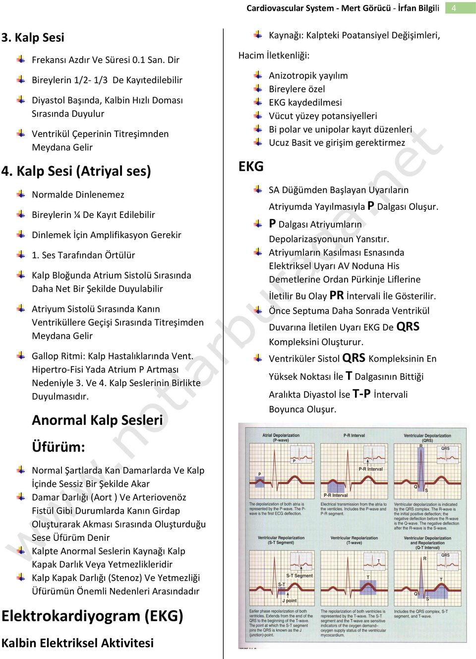 Ses Tarafından Örtülür Kalp Bloğunda Atrium Sistolü Sırasında Daha Net Bir Şekilde Duyulabilir Atriyum Sistolü Sırasında Kanın Ventriküllere Geçişi Sırasında Titreşimden Meydana Gelir Gallop Ritmi: