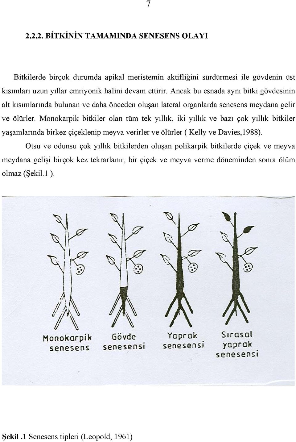 Monokarpik bitkiler olan tüm tek yıllık, iki yıllık ve bazı çok yıllık bitkiler yaşamlarında birkez çiçeklenip meyva verirler ve ölürler ( Kelly ve Davies,1988).