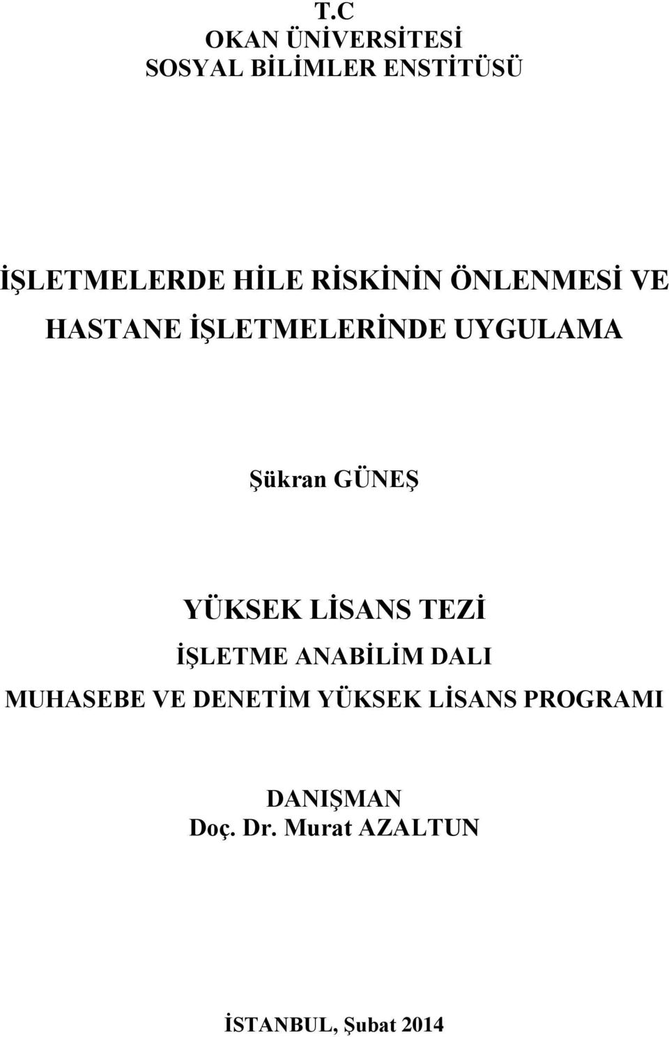 YÜKSEK LİSANS TEZİ İŞLETME ANABİLİM DALI MUHASEBE VE DENETİM YÜKSEK