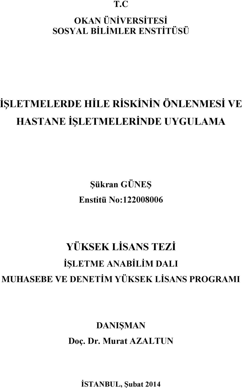 Enstitü No:122008006 YÜKSEK LİSANS TEZİ İŞLETME ANABİLİM DALI MUHASEBE