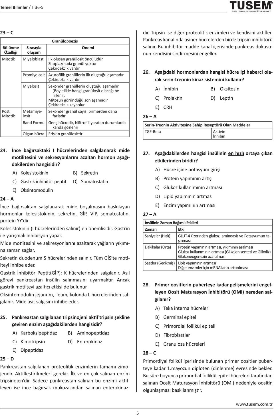 Mitozun göründüğü son aşamadır Çekirdekcik kaybolur Post Mitotik Metamiyelosit Band Formu Olgun hücre Sekonder granül sayısı primerden daha fazladır Genç hücredir, Nötrofili yaratan durumlarda kanda