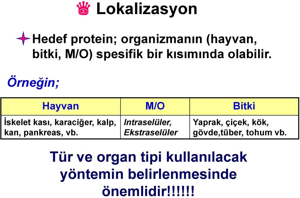 Örneğin; Hayvan M/O Bitki İskelet kası, karaciğer, kalp, Intraselüler, Yaprak,