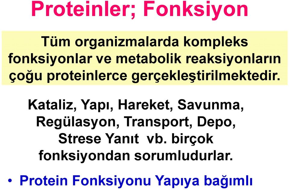 Kataliz, Yapı, Hareket, Savunma, Regülasyon, Transport, Depo, Strese