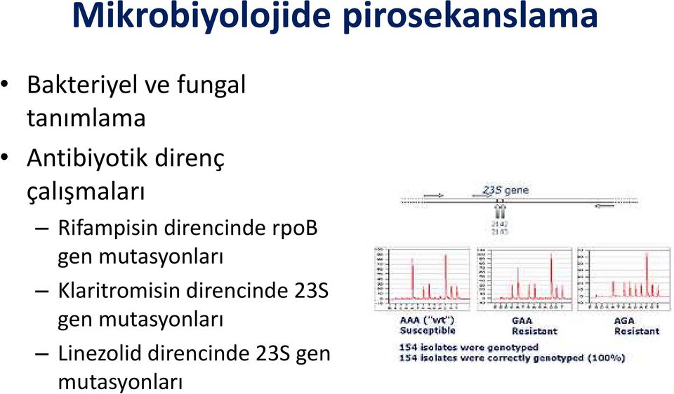 direncinde rpob gen mutasyonları Klaritromisin