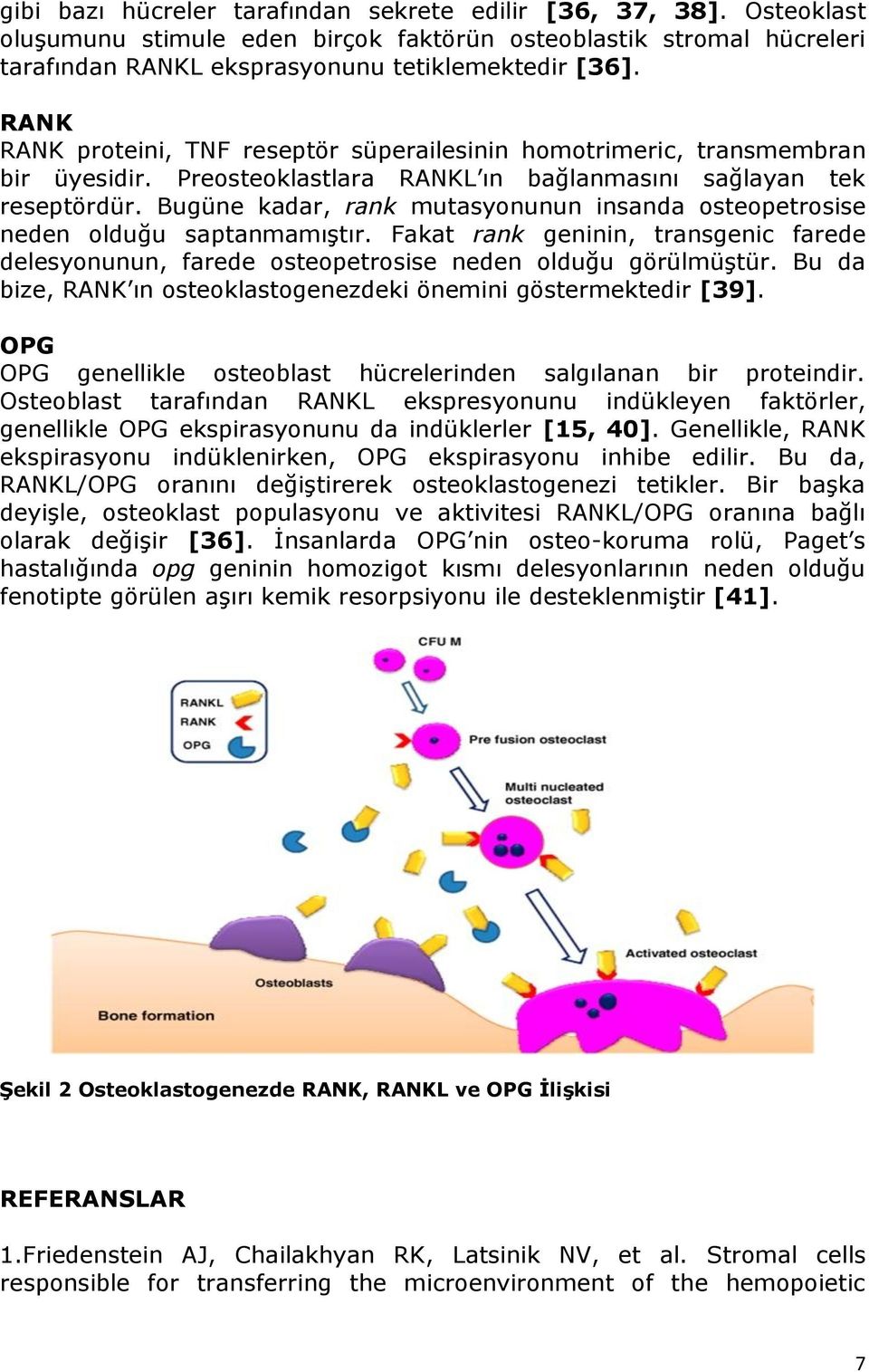 Bugüne kadar, rank mutasyonunun insanda osteopetrosise neden olduğu saptanmamıştır. Fakat rank geninin, transgenic farede delesyonunun, farede osteopetrosise neden olduğu görülmüştür.