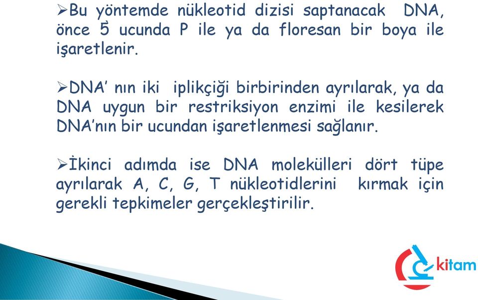 DNA nın iki iplikçiği birbirinden ayrılarak, ya da DNA uygun bir restriksiyon enzimi ile