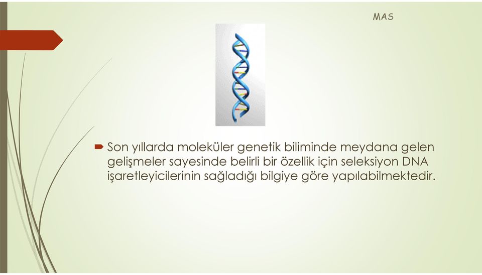 bir özellik için seleksiyon DNA