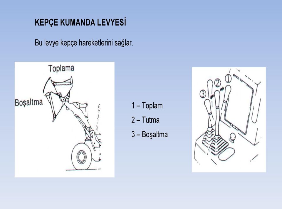 hareketlerini sağlar.