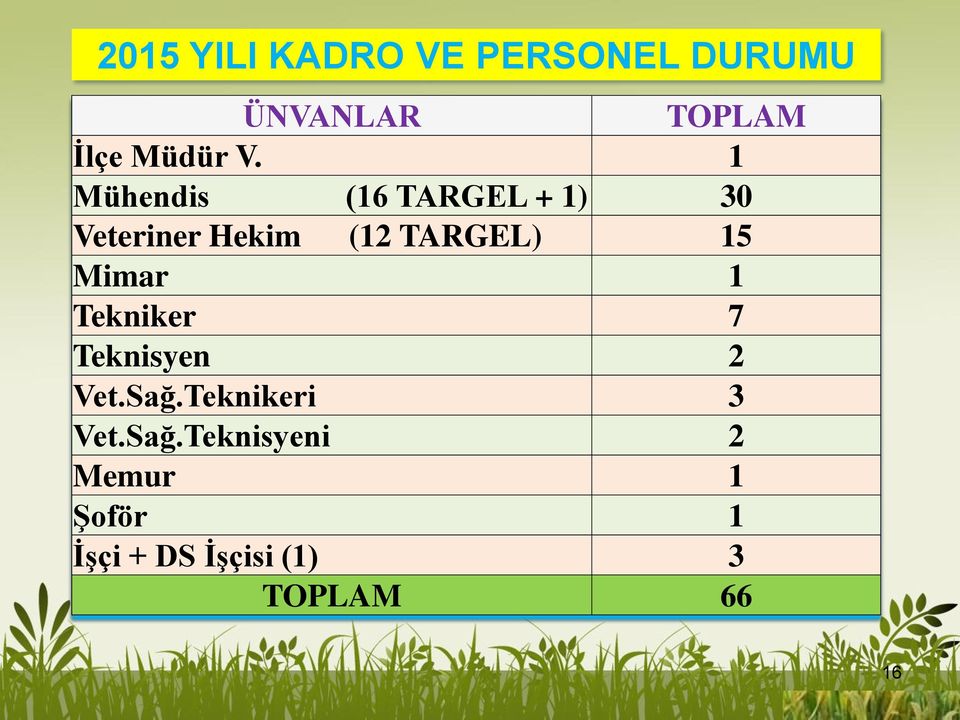 15 Mimar 1 Tekniker 7 Teknisyen 2 Vet.Sağ.