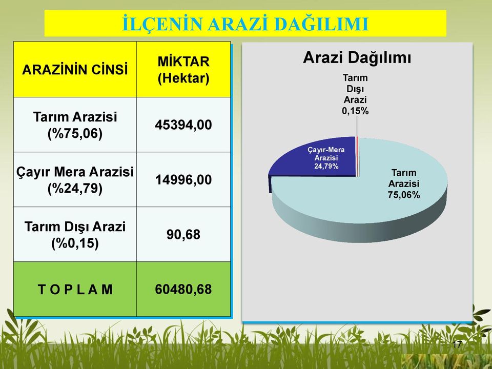 (Hektar) 45394,00 14996,00 90,68 Arazi Dağılımı Çayır-Mera