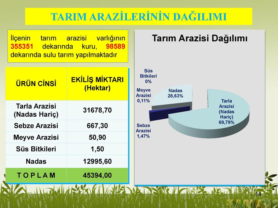 31678,70 Sebze Arazisi 667,30 Meyve Arazisi 50,90 Süs Bitkileri 0% Meyve Arazisi 0,11% Sebze Arazisi