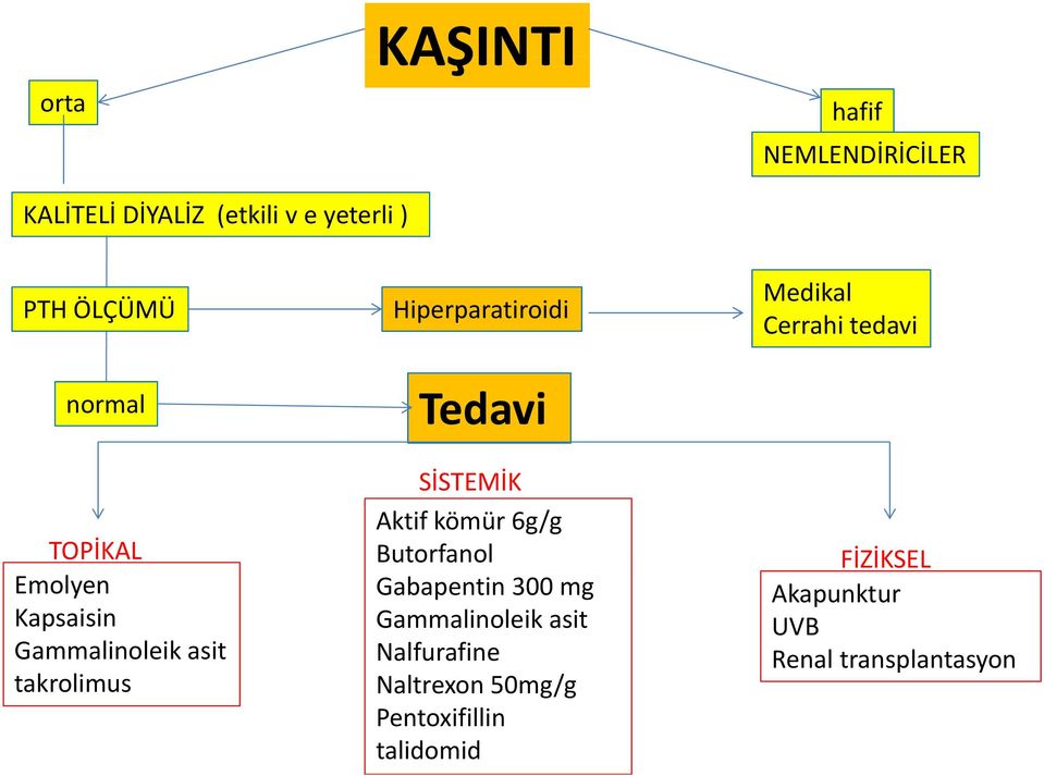 Aktif kömür 6g/g Butorfanol Gabapentin 300 mg Gammalinoleik asit Nalfurafine Naltrexon