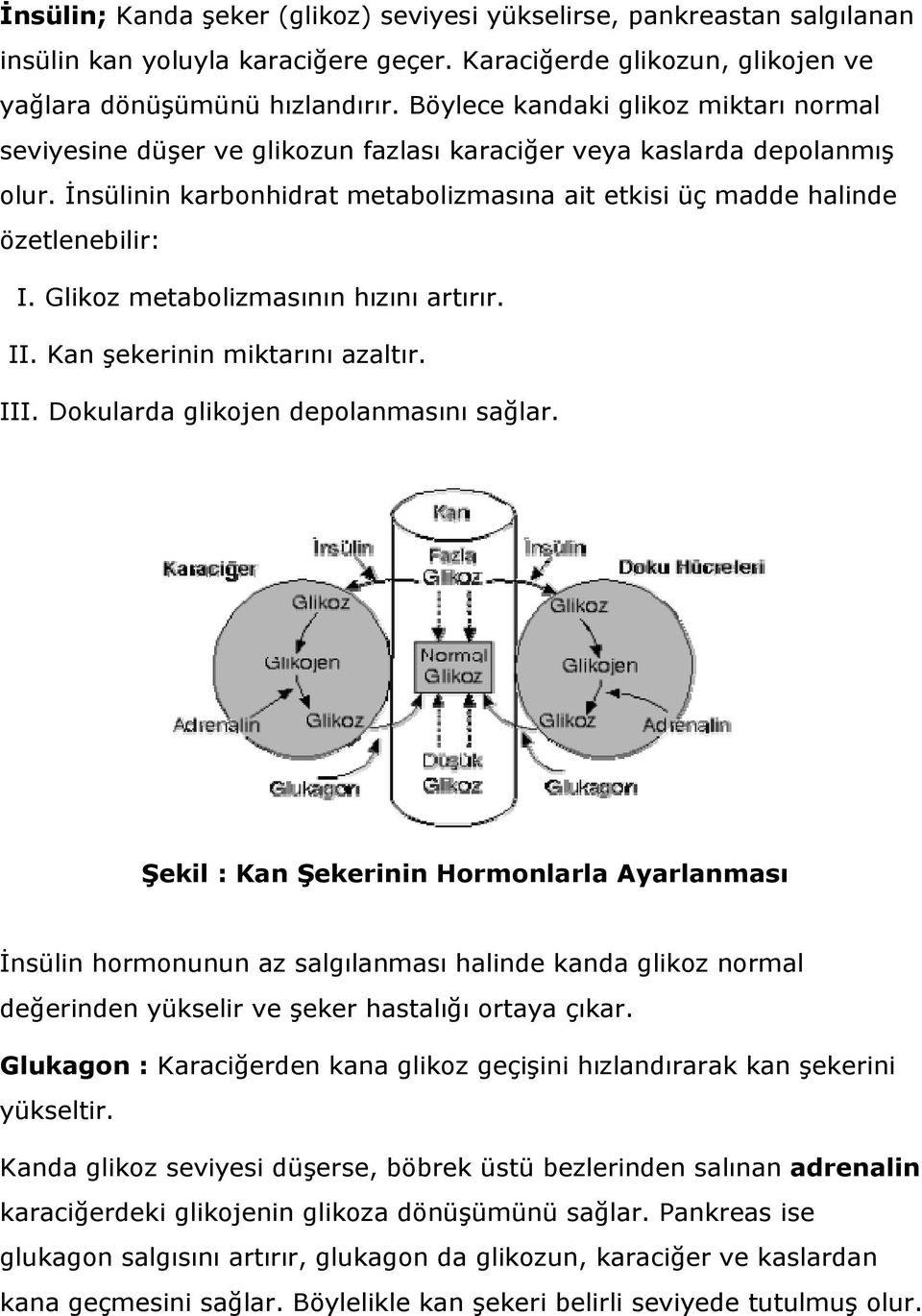 Glikoz metabolizmasının hızını artırır. II. Kan şekerinin miktarını azaltır. III. Dokularda glikojen depolanmasını sağlar.