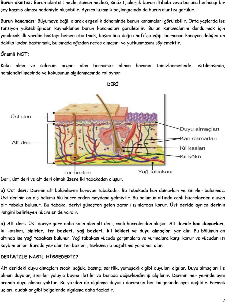 Orta yaşlarda ise tansiyon yüksekliğinden kaynaklanan burun kanamaları görülebilir.