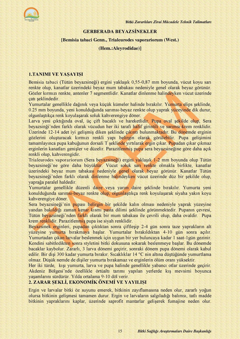 Gözler kırmızı renkte, antenler 7 segmentlidir. Kanatlar dinlenme halindeyken vücut üzerinde çatı şeklindedir. Yumurtalar genellikle dağınık veya küçük kümeler halinde bırakılır.