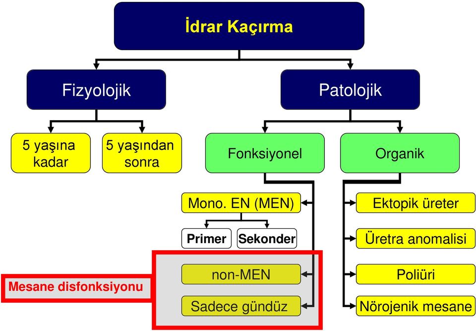 EN (MEN) Ektopik üreter Primer Sekonder Üretra