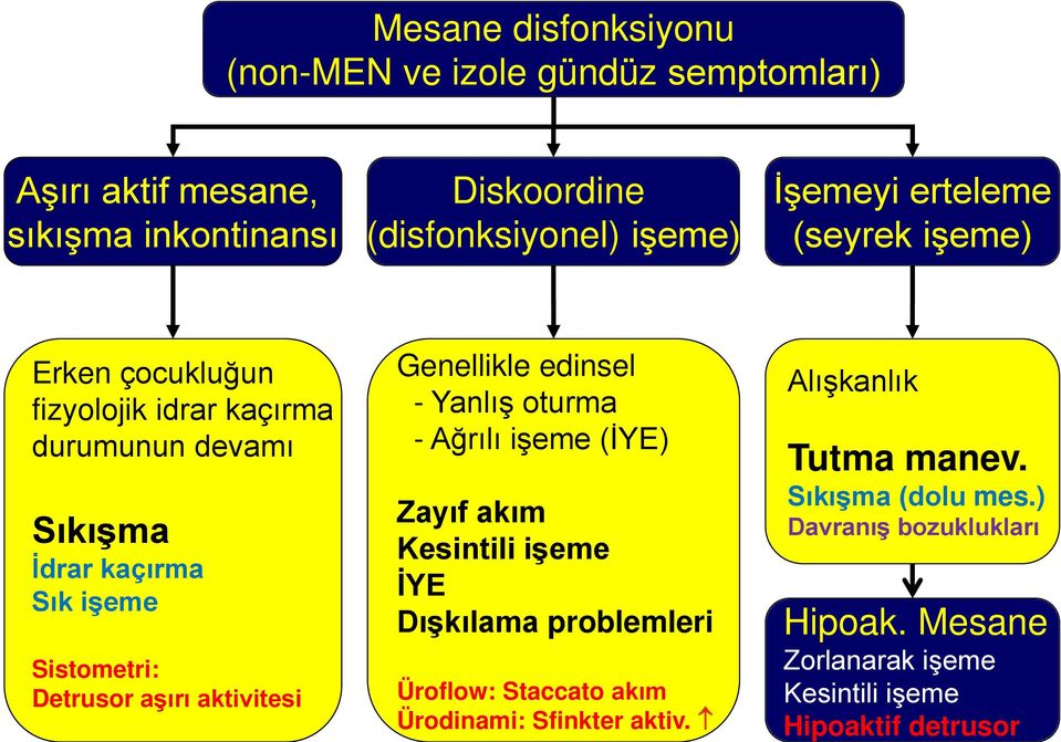 aktivitesi Genellikle edinsel - Yanlış oturma - Ağrılı işeme (İYE) Zayıf akım Kesintili işeme İYE Dışkılama problemleri Üroflow: Staccato akım