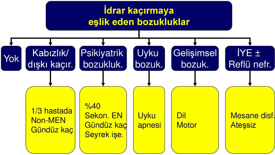 İYE ± Reflü nefr. 1/3 hastada Non-MEN Gündüz kaç %40 Sekon.