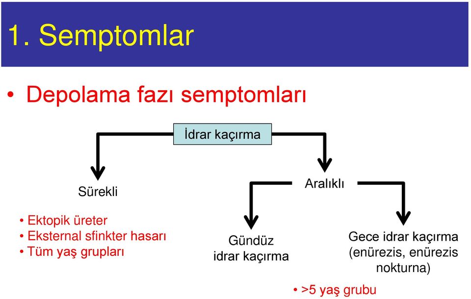 hasarı Tüm yaş grupları Gündüz idrar kaçırma