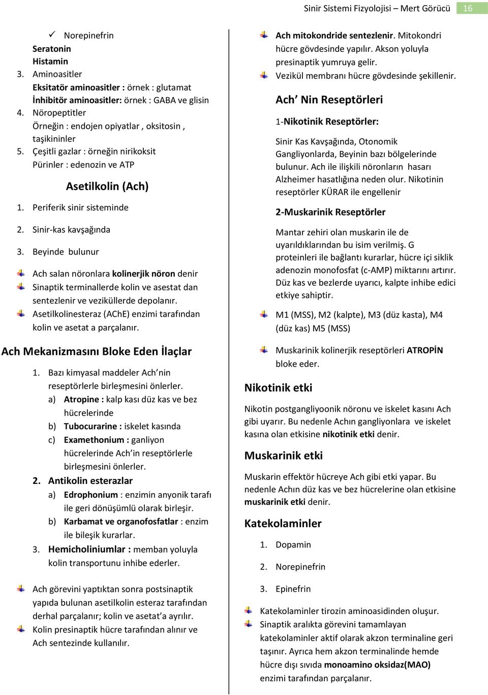 Sinir-kas kavşağında 3. Beyinde bulunur Ach salan nöronlara kolinerjik nöron denir Sinaptik terminallerde kolin ve asestat dan sentezlenir ve veziküllerde depolanır.