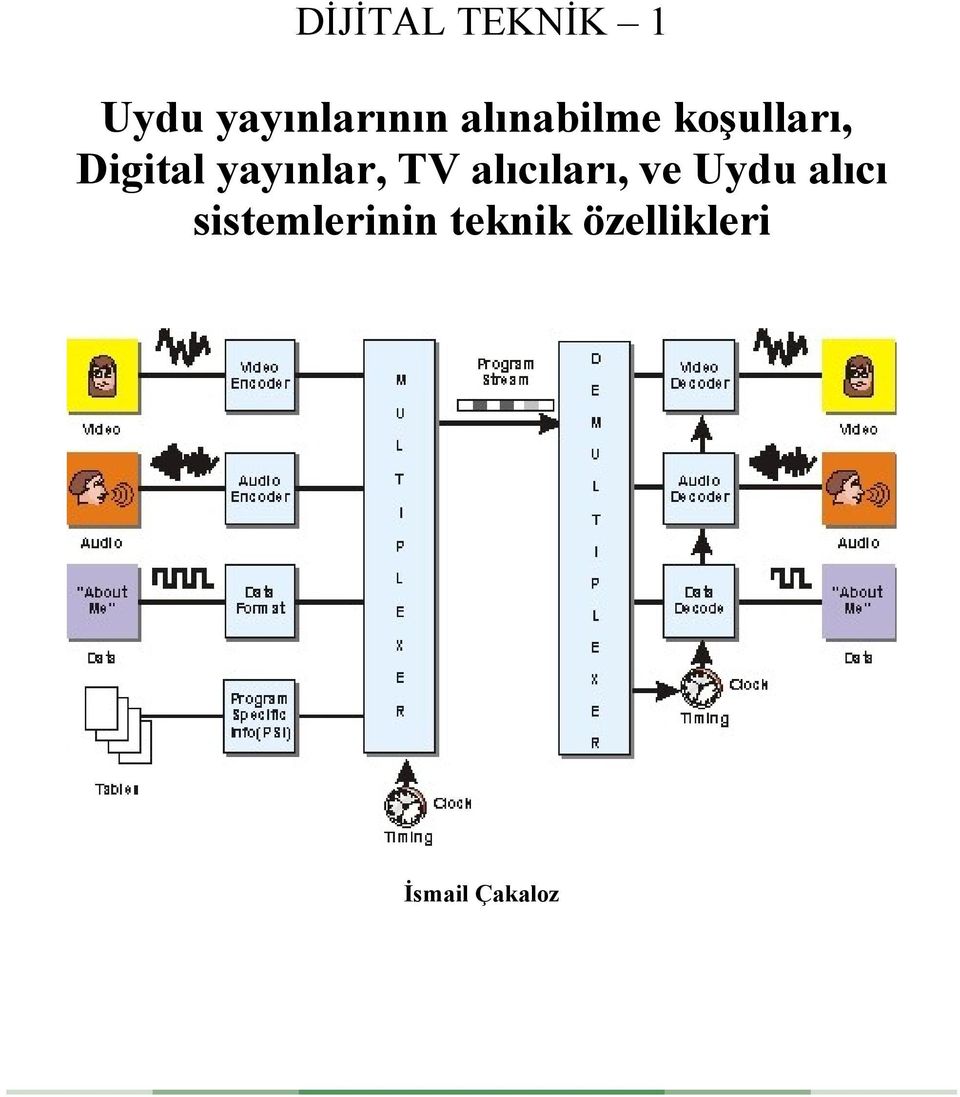 yayınlar, TV alıcıları, ve Uydu