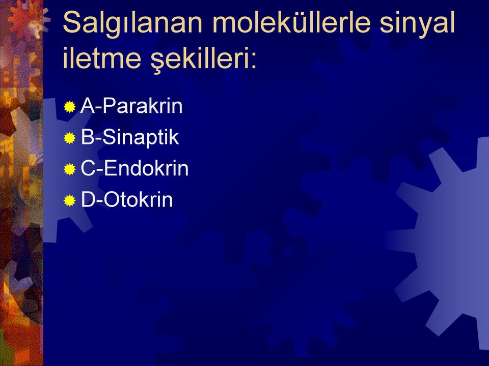 iletme şekilleri: