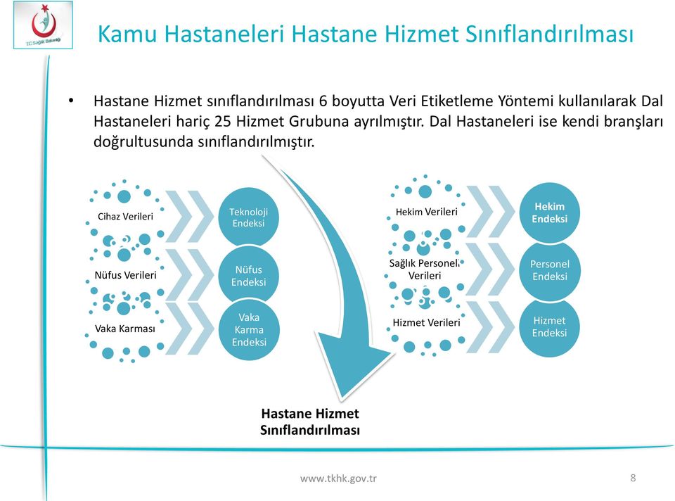 Dal Hastaneleri ise kendi branşları doğrultusunda sınıflandırılmıştır.