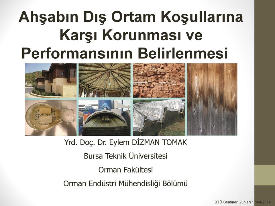 Eylem DİZMAN TOMAK Bursa Teknik Üniversitesi Orman