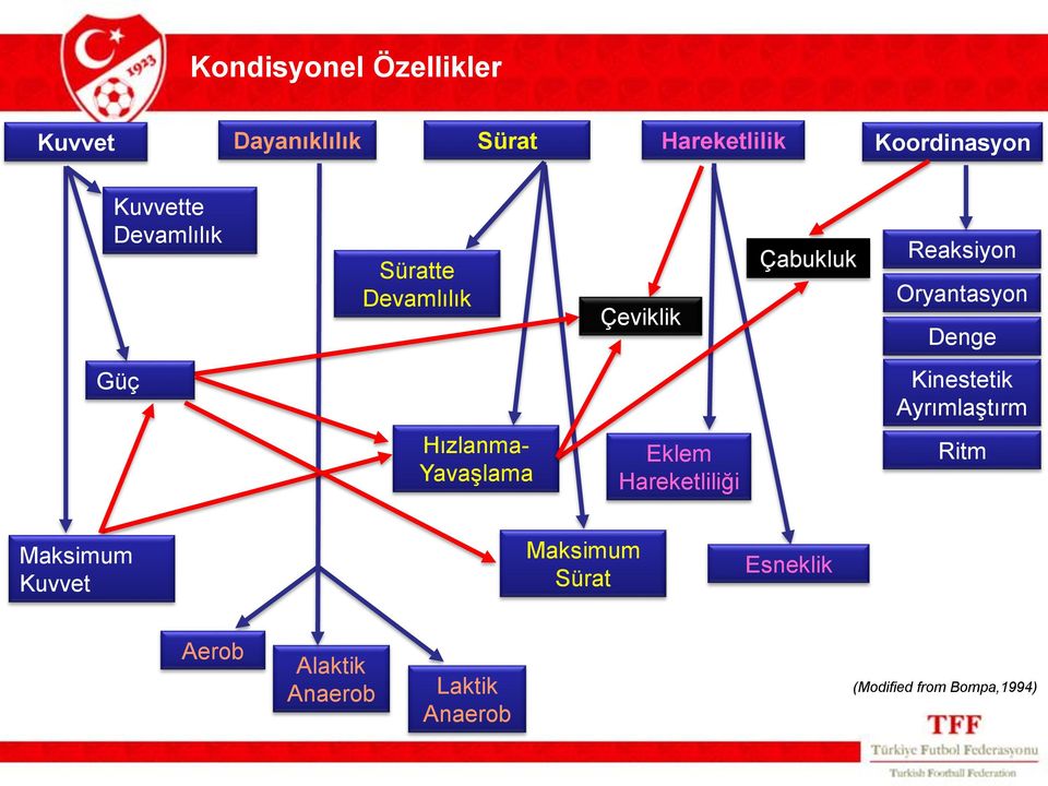 Hızlanma- Yavaşlama Eklem Hareketliliği Kinestetik Ayrımlaştırm a Ritm Maksimum