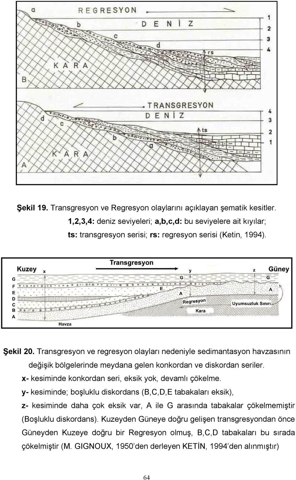 Transgresyon ve regresyon olayları nedeniyle sedimantasyon havzasının değişik bölgelerinde meydana gelen konkordan ve diskordan seriler.