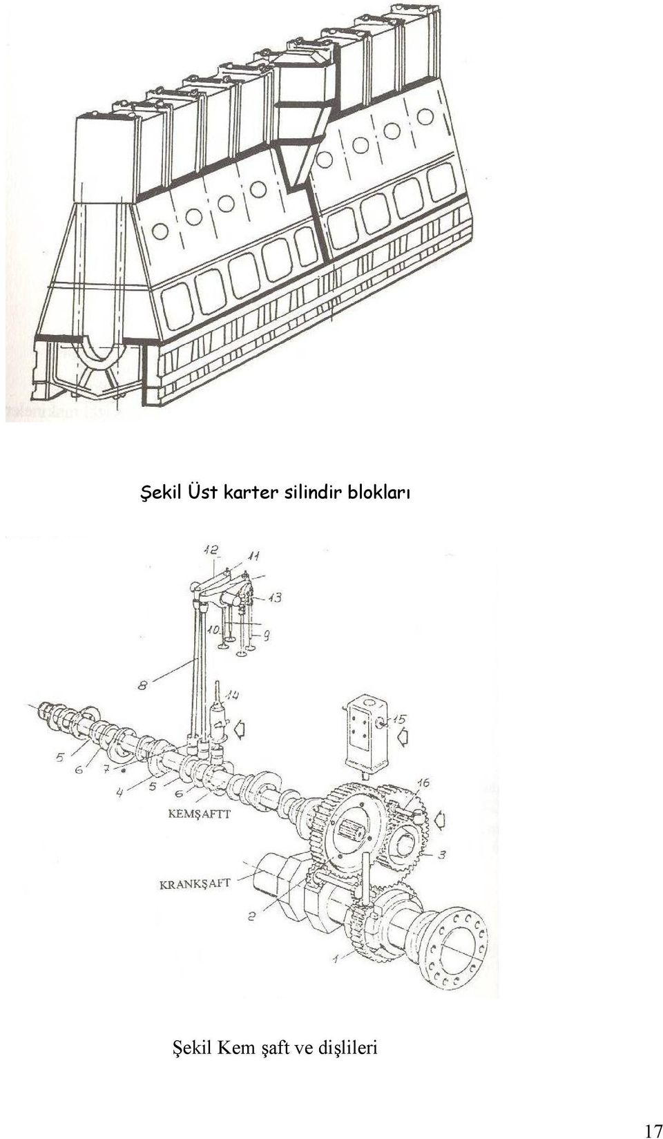 blkları Şekil