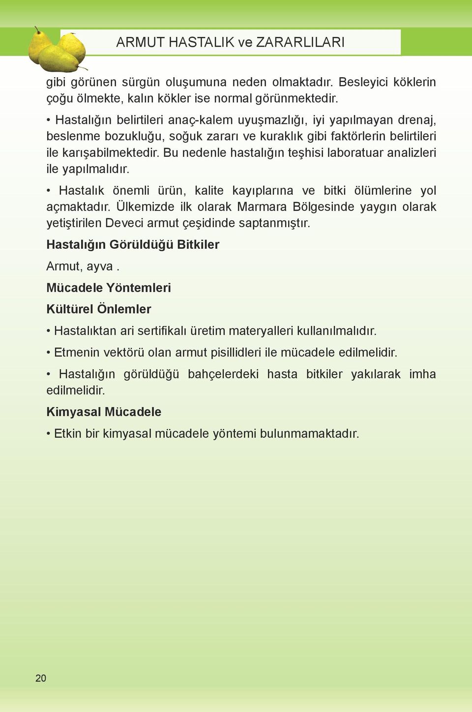 Bu nedenle hastalığın teşhisi laboratuar analizleri ile yapılmalıdır. Hastalık önemli ürün, kalite kayıplarına ve bitki ölümlerine yol açmaktadır.