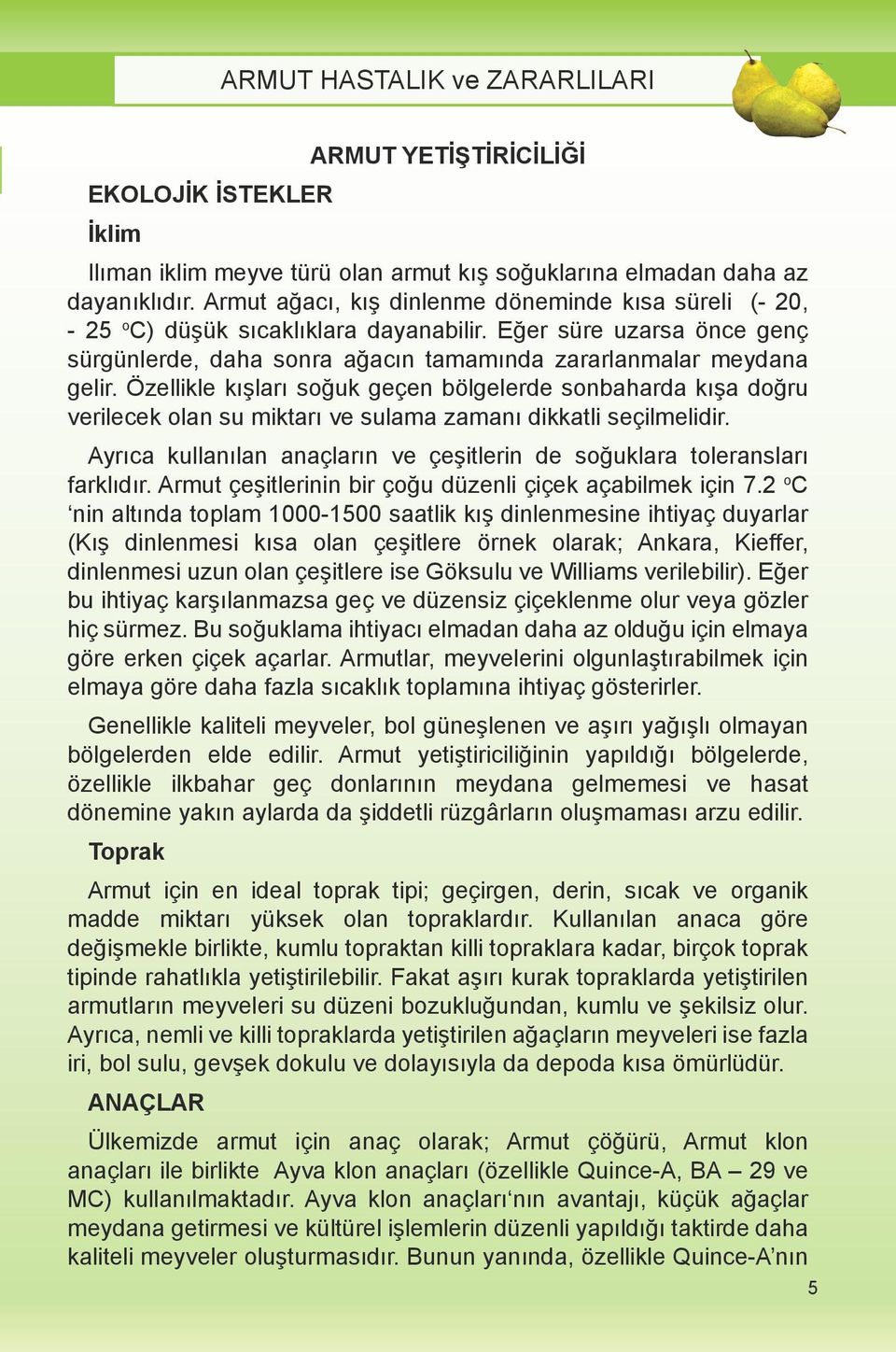 Özellikle kışları soğuk geçen bölgelerde sonbaharda kışa doğru verilecek olan su miktarı ve sulama zamanı dikkatli seçilmelidir.